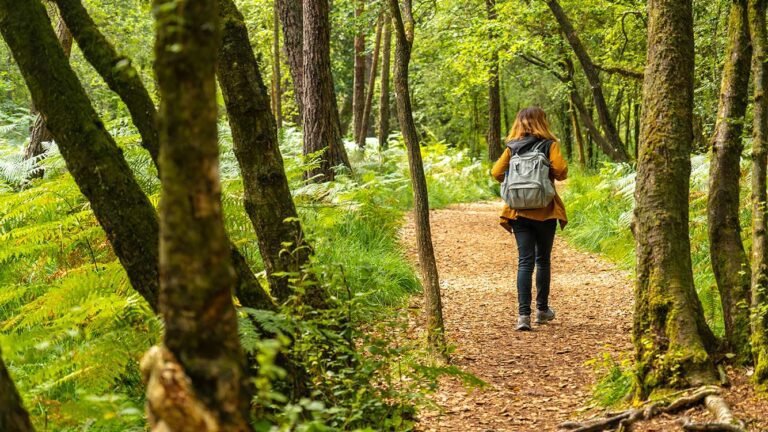 actividades al aire libre en naturaleza
