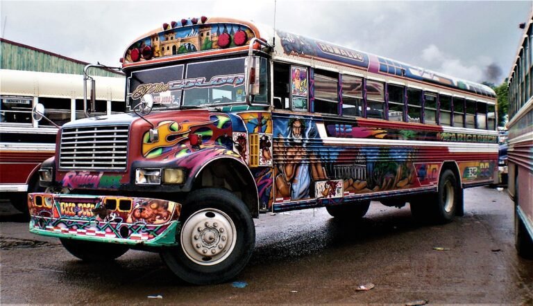 Qué colectivos llegan a Valle Grande desde la ciudad 14 autobuses coloridos en una terminal de transporte