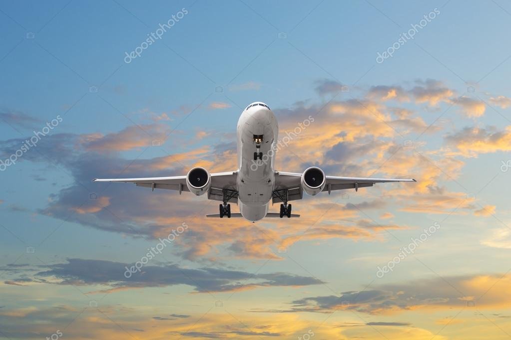 Cuáles son los aviones que compró Javier Milei y su impacto