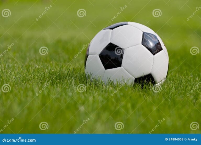 balon de futbol en un campo verde