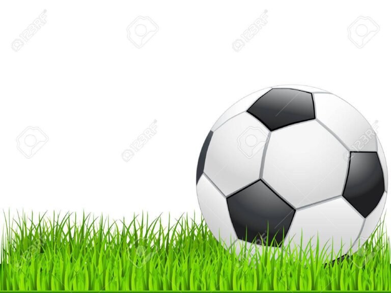 Cuáles son las posiciones actuales de la liga argentina en el año 29 balon de futbol sobre cesped verde