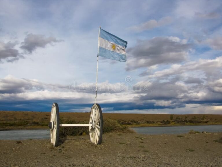 bandera argentina ondeando en un paisaje