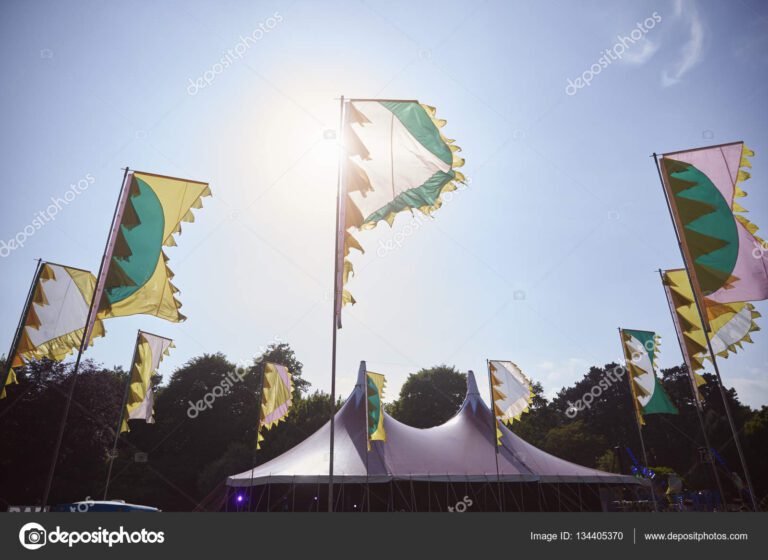 banderas ondeando en un concierto al aire libre