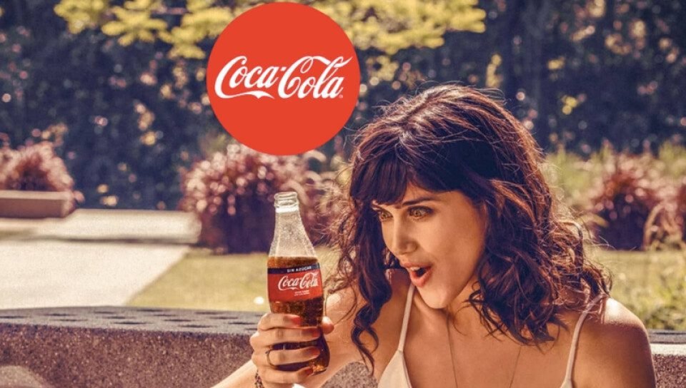 Qué información necesitas sobre Coca Cola Andina en Mendoza 1 botellas de coca cola en un paisaje mendocino