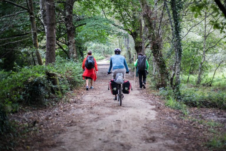 camino en un sendero natural lento