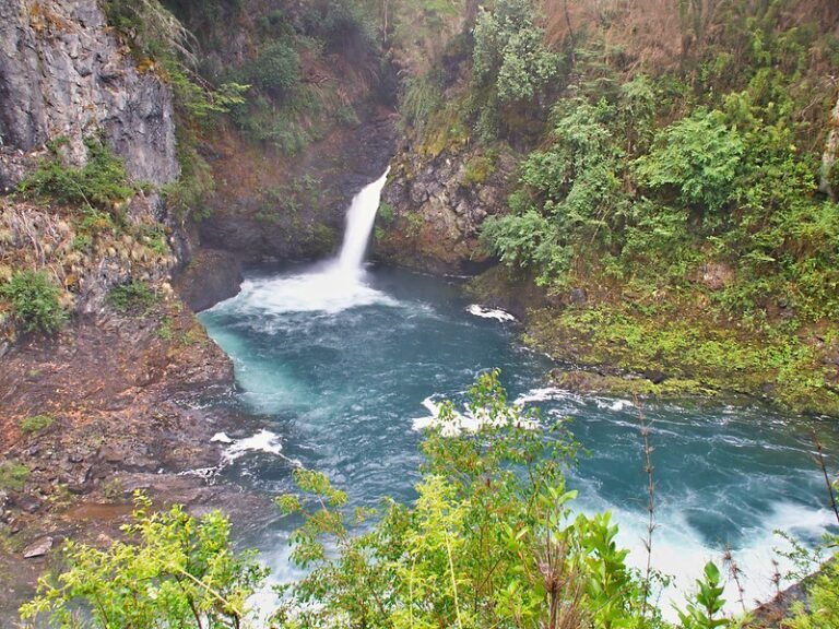 Cuáles son los horarios para visitar la Cascada Los Alerces 12 cascada los alerces en un dia soleado