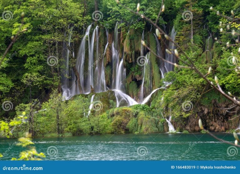 cascada rodeada de naturaleza exuberante