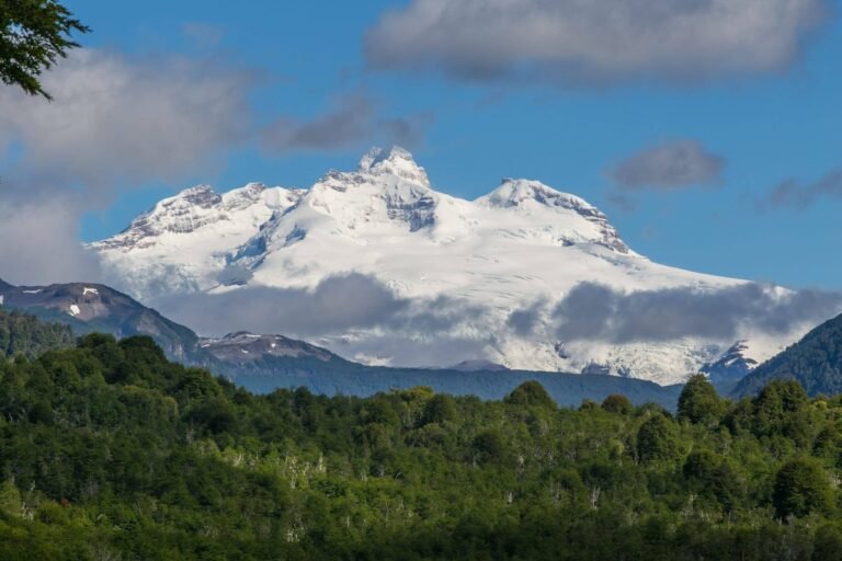 cerro tronador con nieve y bosque verde