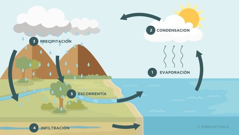 ciclo del agua en la naturaleza