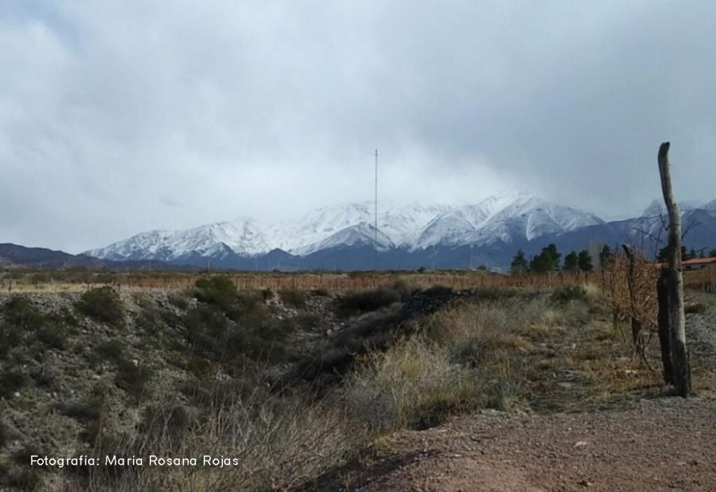 Por qué el saldo negativo del agua sube en Mendoza actualmente 6 Por qué el saldo negativo del agua sube en Mendoza actualmente