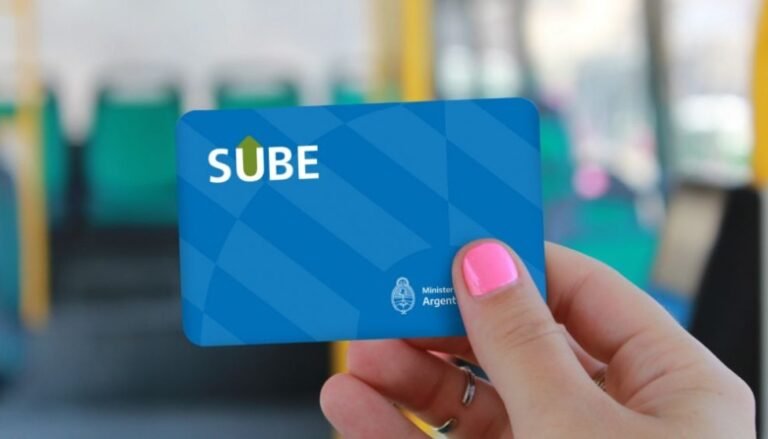 Se pueden registrar dos tarjetas Sube en el mismo usuario 29 dos tarjetas sube en manos de una persona