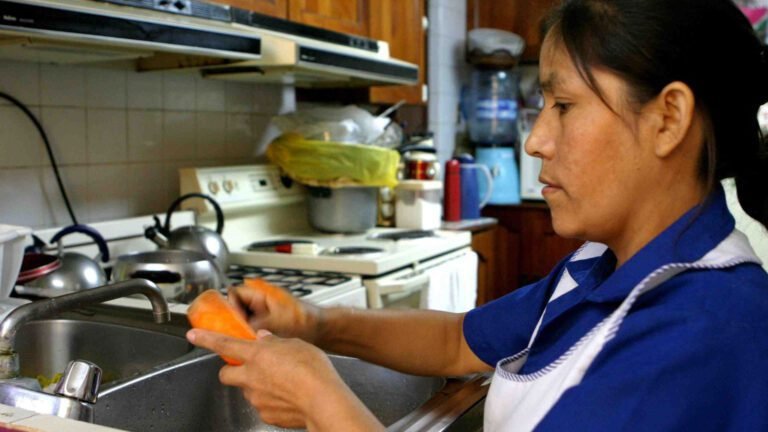 Cuánto están cobrando actualmente las empleadas domésticas en Argentina 12 empleada domestica trabajando en casa