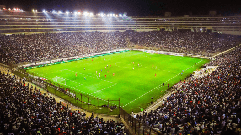 estadio lleno con hinchas de futbol