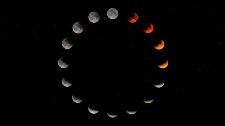 Cómo usar el calendario lunar para cortarse el cabello en Argentina 27 fases de la luna sobre un fondo nocturno