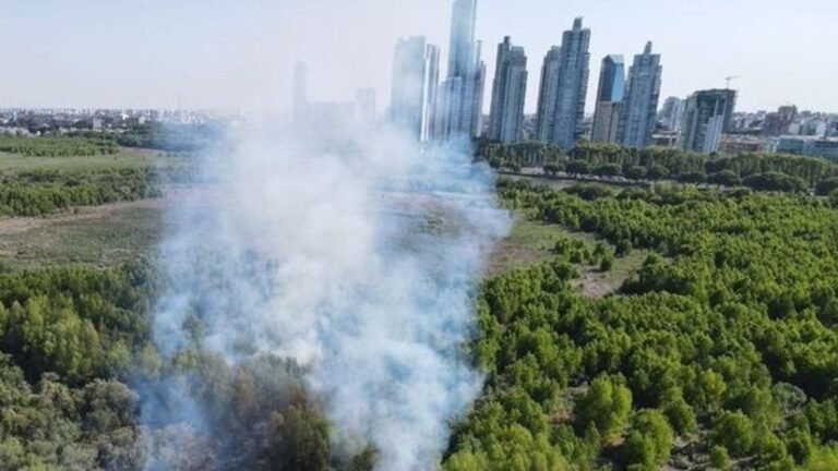 fuego en un paisaje urbano de la plata