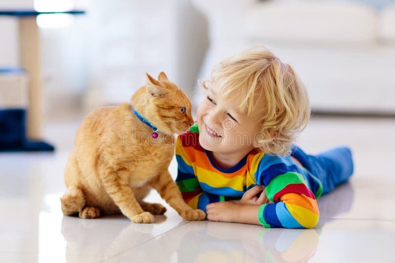 Qué Debes Saber Sobre el Cuidado de Gatos Bebés en Casa 5 Qué Debes Saber Sobre el Cuidado de Gatos Bebés en Casa