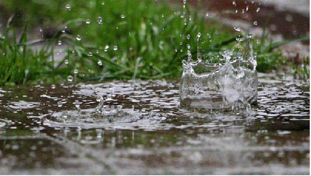 Qué es el olor a tierra mojada y por qué lo sentimos 6 Qué es el olor a tierra mojada y por qué lo sentimos
