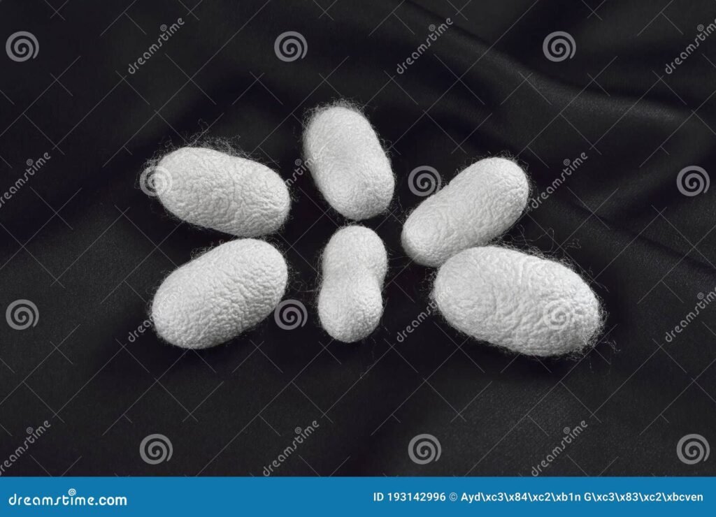 Qué significa soñar con gusanos blancos y su interpretación en los sueños 5 Qué significa soñar con gusanos blancos y su interpretación en los sueños