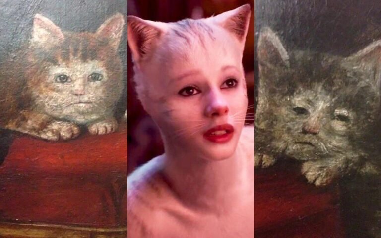 hombre gato en un juicio simbolico