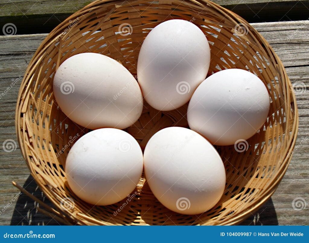 Cómo puedo saber si los huevos están en buen estado y son seguros 1 huevos frescos en una cesta de mimbre