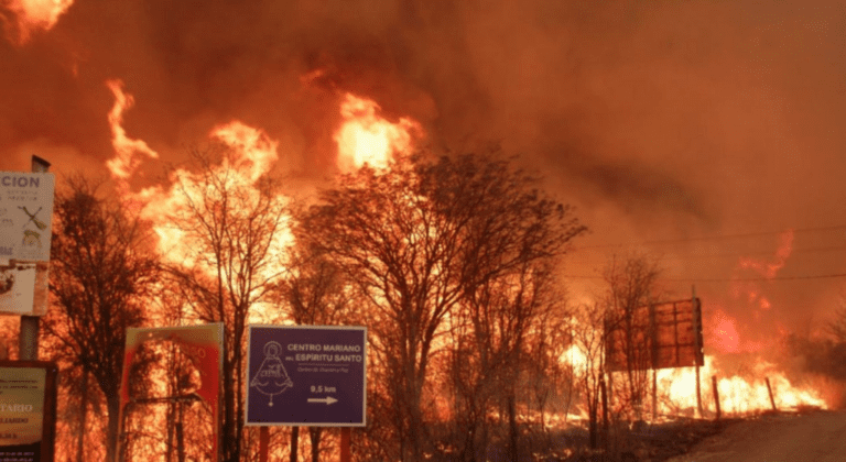 incendio forestal en cordoba paisaje afectado