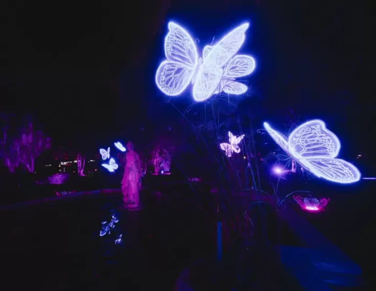 Qué es el Secret Garden en Buenos Aires y qué ofrece a sus visitantes 7 jardin secreto en buenos aires