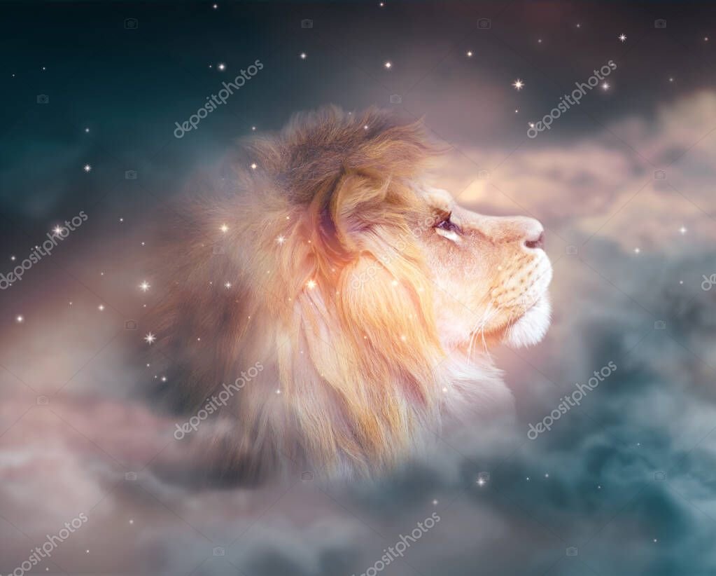 Cómo Puedo Conquistar a un Leo y Ganar Su Corazón 6 Cómo Puedo Conquistar a un Leo y Ganar Su Corazón