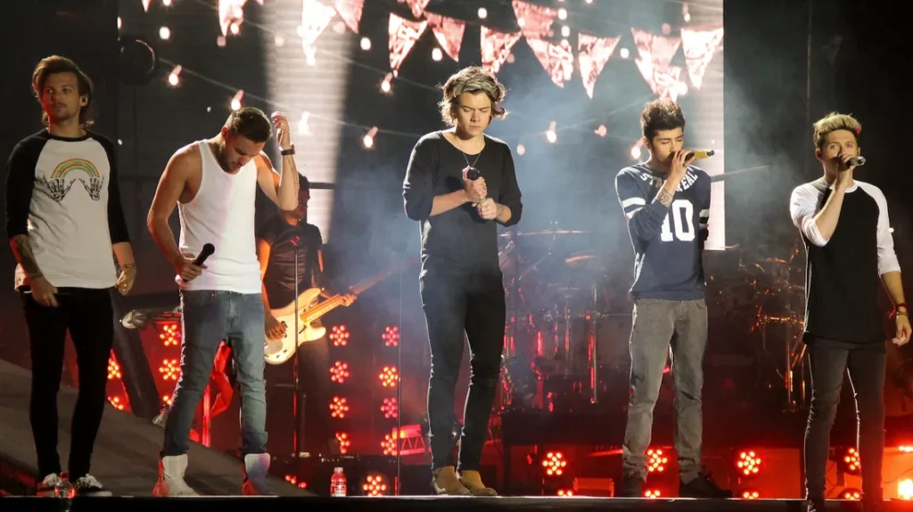 liam payne en concierto con one direction