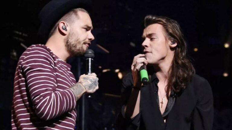 liam y harry en concierto juntos