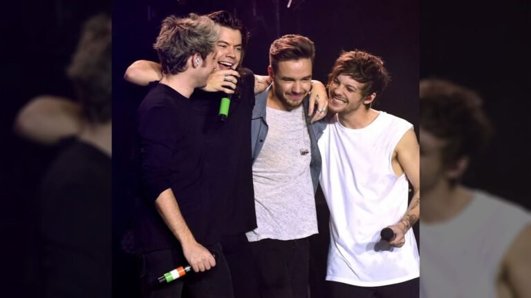 liam y harry en un concierto de one direction