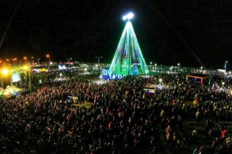 los palmeras en un escenario festivo
