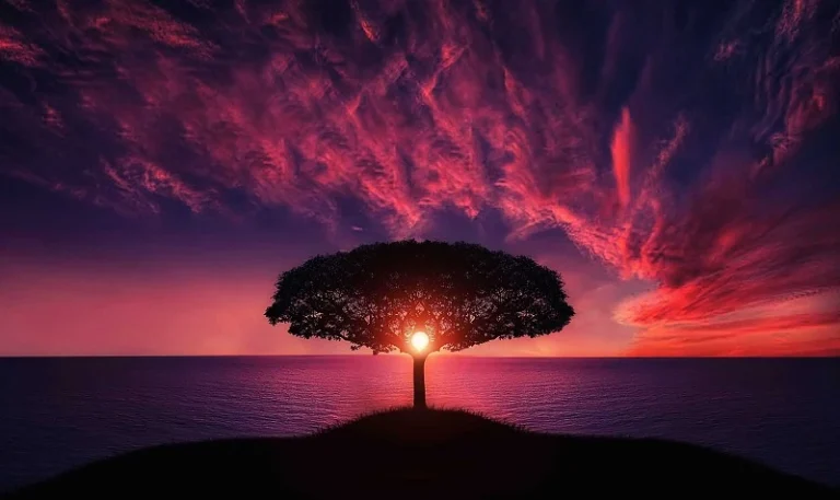 Por qué Pampita perdió a su hija y cómo enfrentó esta tragedia 5 luz de esperanza en un atardecer triste