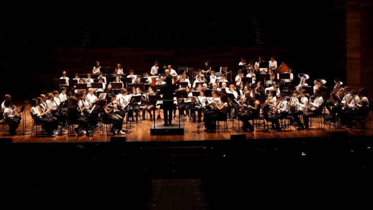 miembros de banda en concierto vibrante