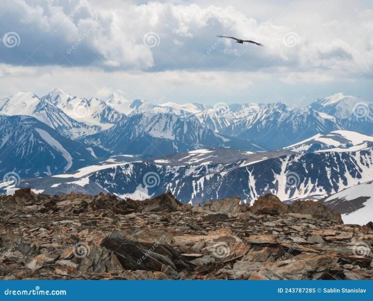 Qué factores influyen en el pronóstico del tiempo en alta montaña 18 montana nevada bajo un cielo cambiante