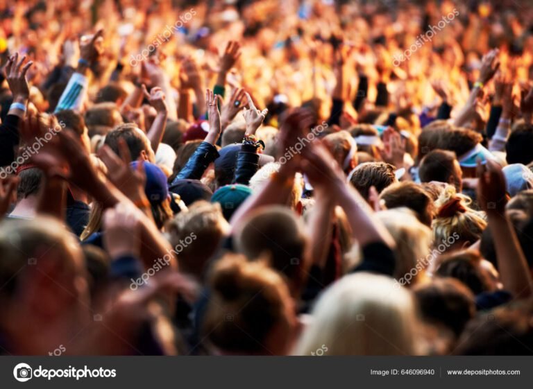 multitud disfrutando de un concierto al aire libre
