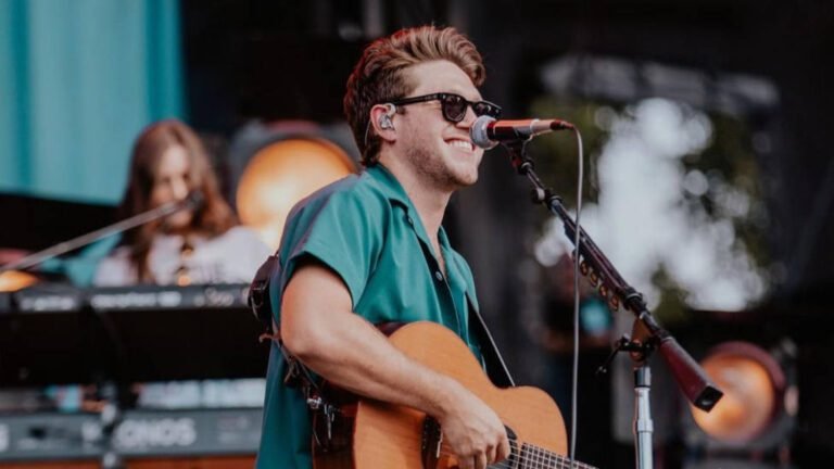 niall horan actuando en un concierto