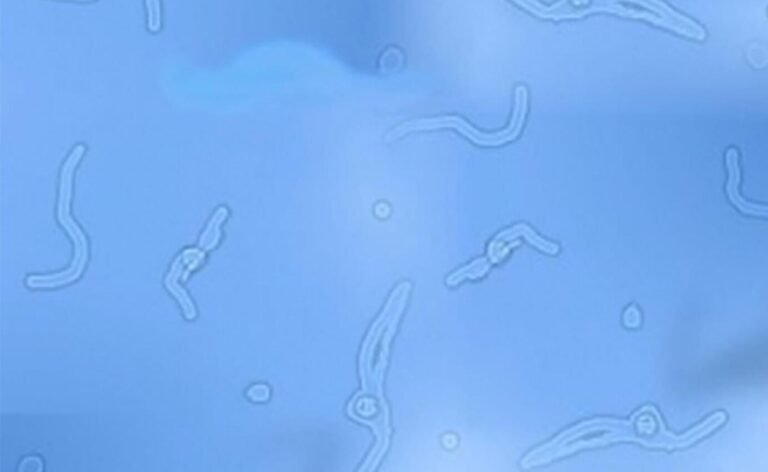 ojos que todo lo ven en el cielo