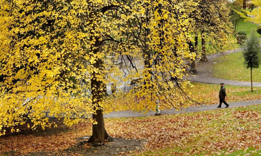 Qué es una ola de calor en otoño y cómo afecta el clima 3 Qué es una ola de calor en otoño y cómo afecta el clima