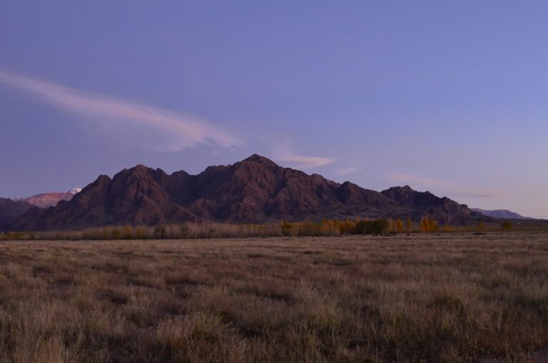 paisaje de mendoza con montanas y cielo