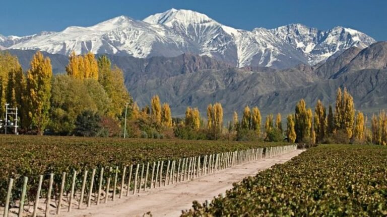 paisaje de mendoza con montanas y vinedos