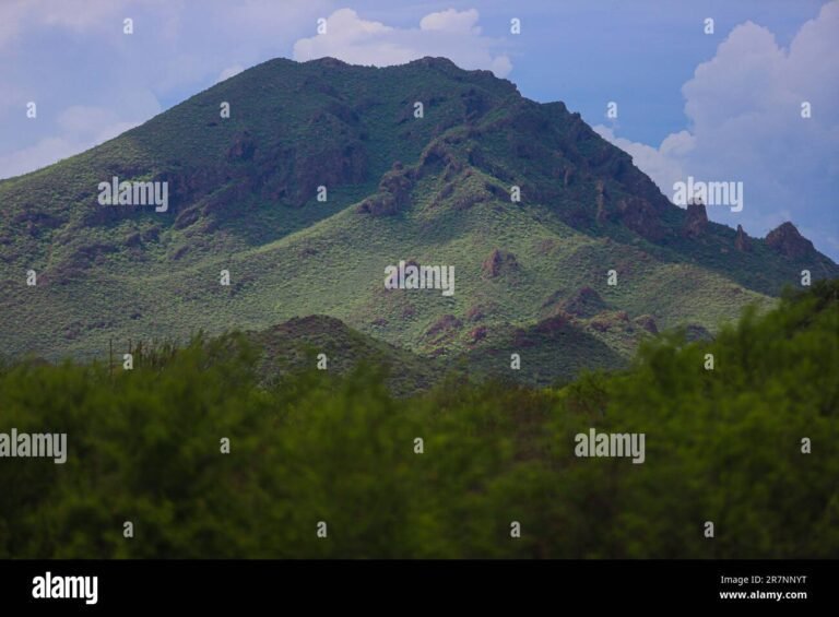 paisaje de san carlos con montanas verdes