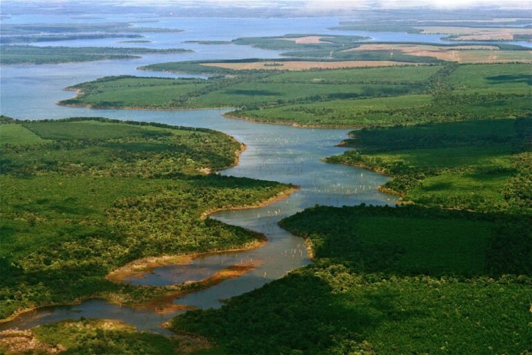 paisaje natural de los esteros del ibera