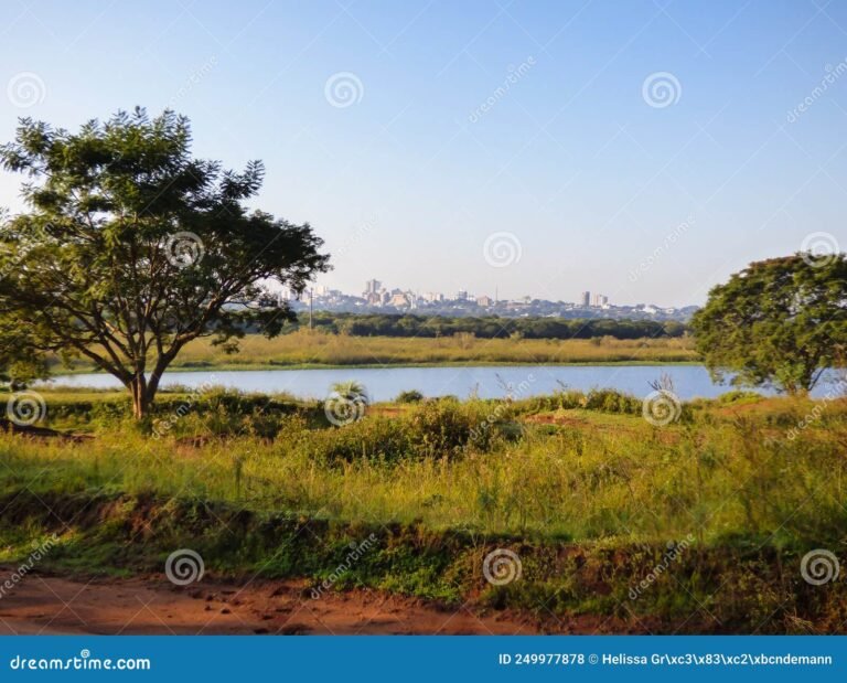 Qué actividades y lugares turísticos hay para disfrutar en Paso de los Libres 18 paisaje natural de paso de los libres