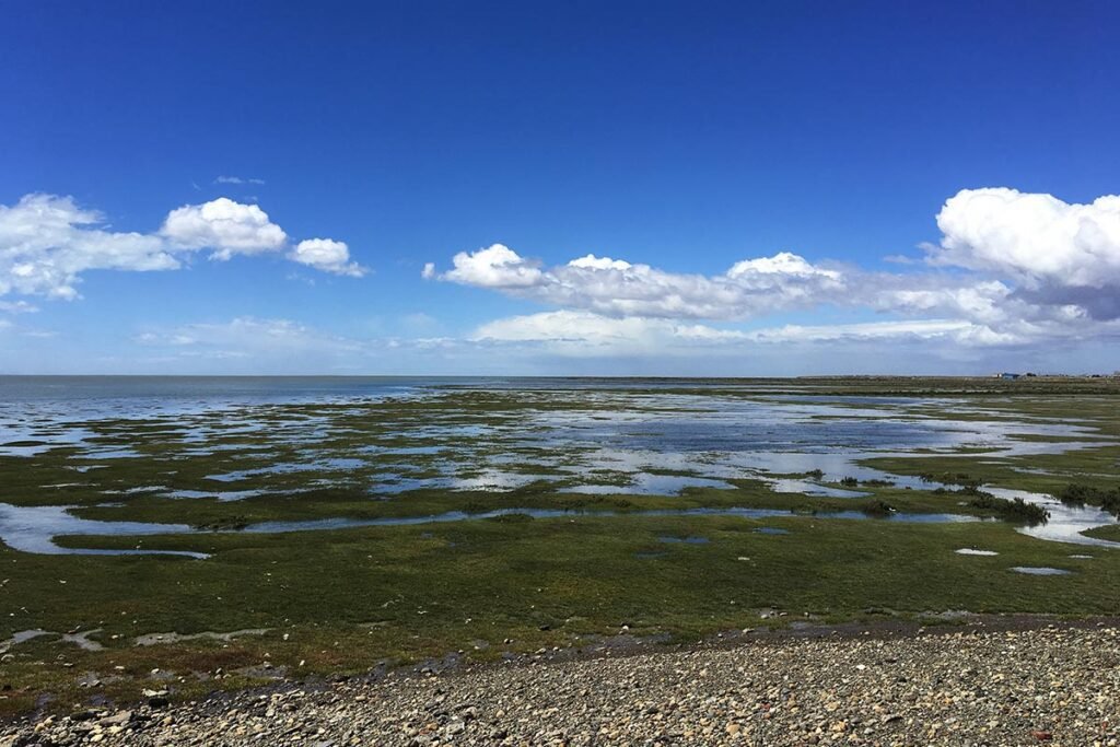 Qué lugares turísticos no te podés perder en Río Gallegos 1 paisaje natural de rio gallegos