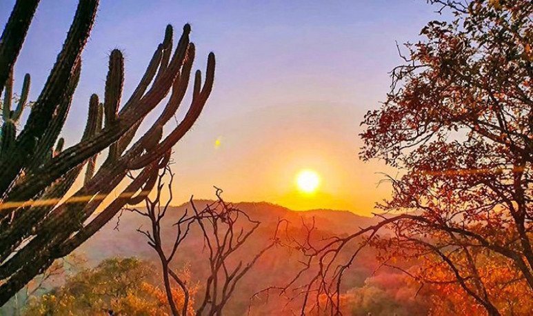 Cómo disfrutar de un viaje fácil en Santiago del Estero 7 Cómo disfrutar de un viaje fácil en Santiago del Estero