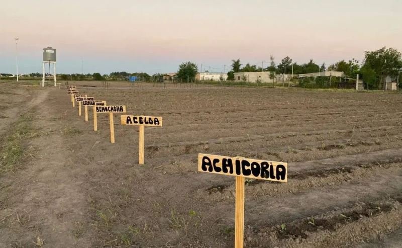 Qué novedades recientes hay sobre Las Toscas, Santa Fe