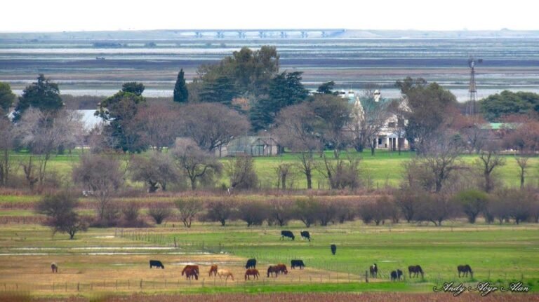 paisaje rural de victoria entre rios