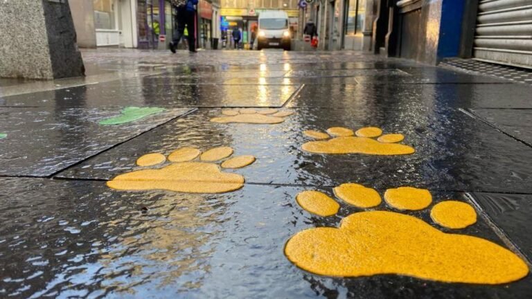 pawprints on a city sidewalk