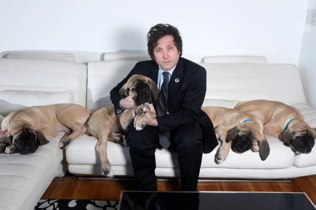Sabés qué raza de perro tiene Javier Milei y cómo se llama 5 Sabés qué raza de perro tiene Javier Milei y cómo se llama