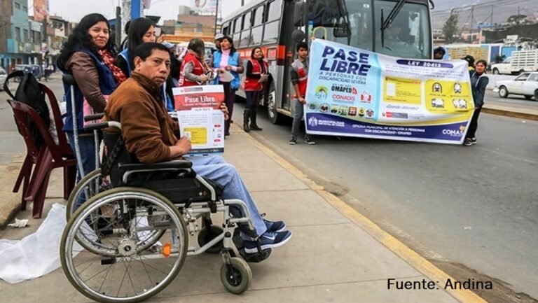 persona con discapacidad utilizando transporte publico
